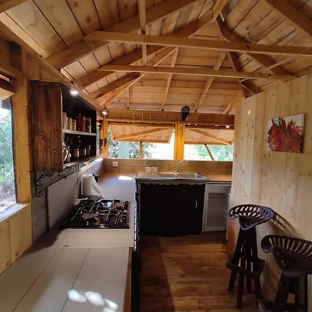 Cabane Yourte