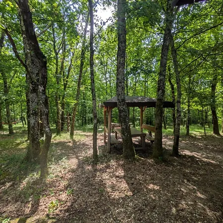 Camping Yourte Mongauzy