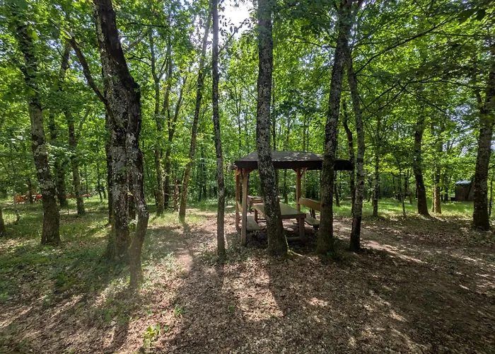 Κάμπινγκ Yourte Mongauzy